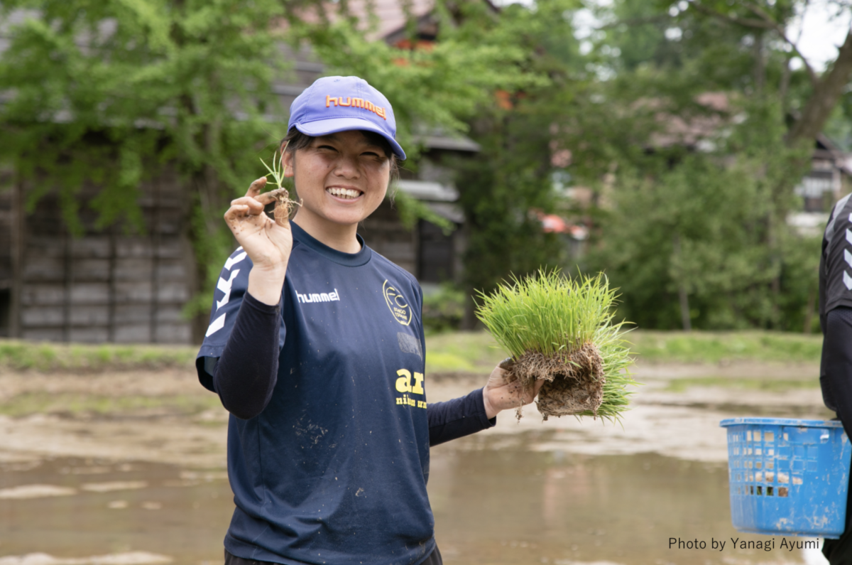 田植えをするFC越後妻有の選手