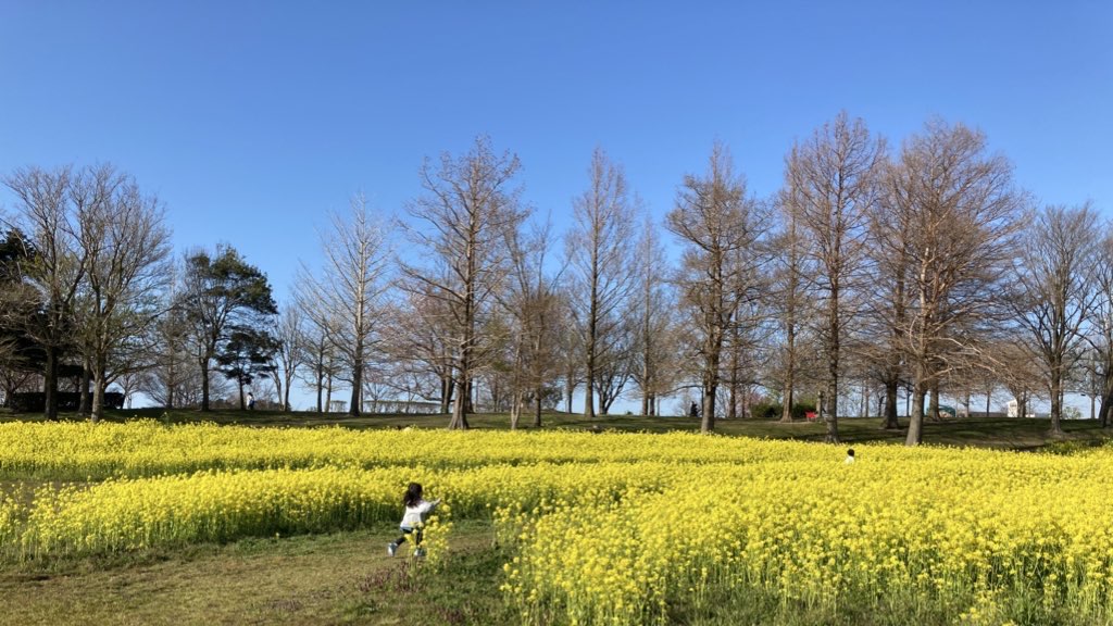 野を走る木村愛子の子ども