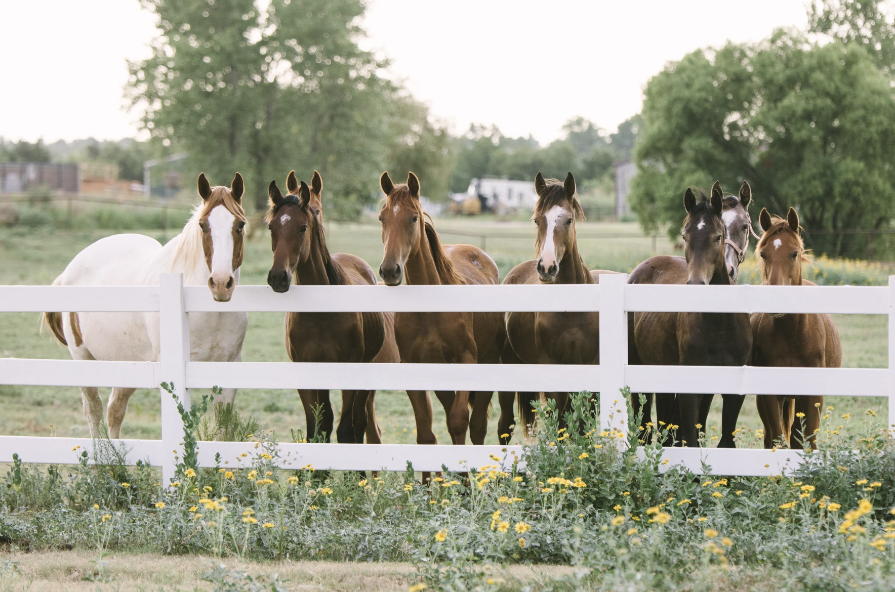 Career Options for Agricultural Majors-5