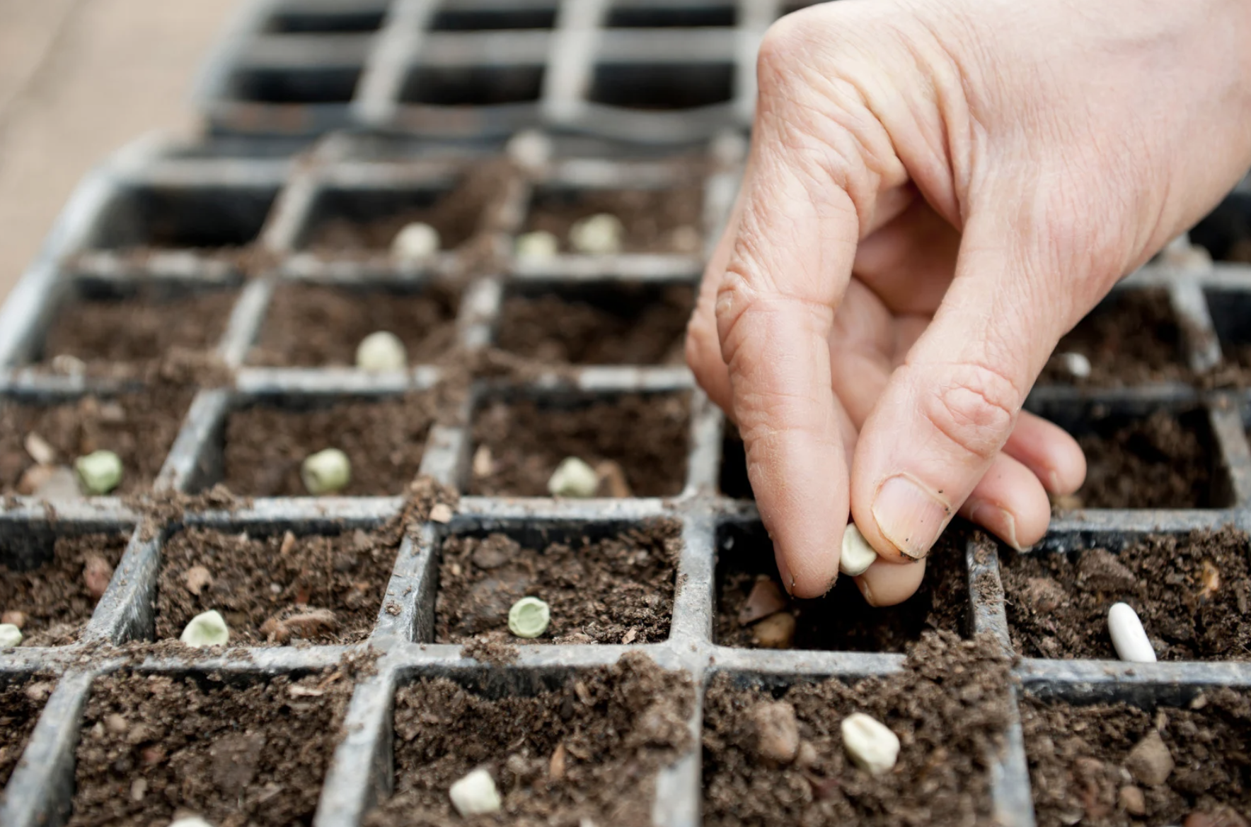  Career Options for Agricultural Majors-6