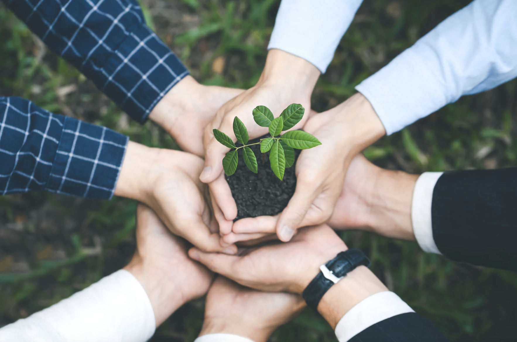 Career Options for Agricultural Majors-8