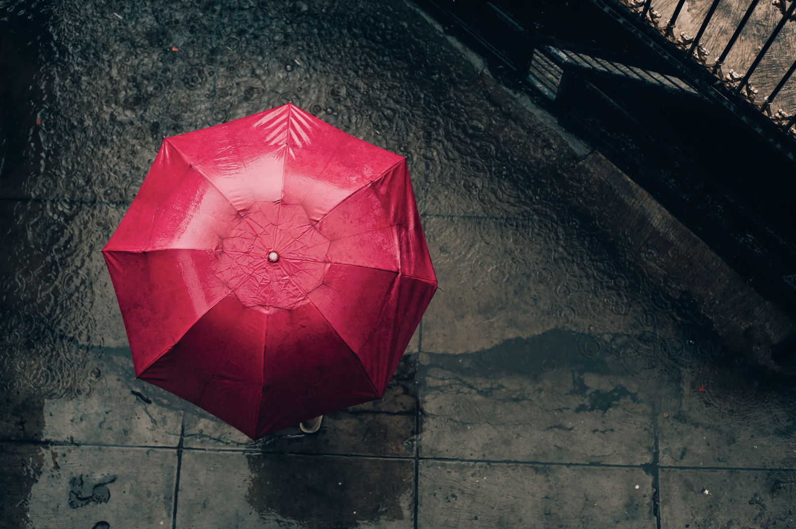 Manners on a Rainy Day-1.