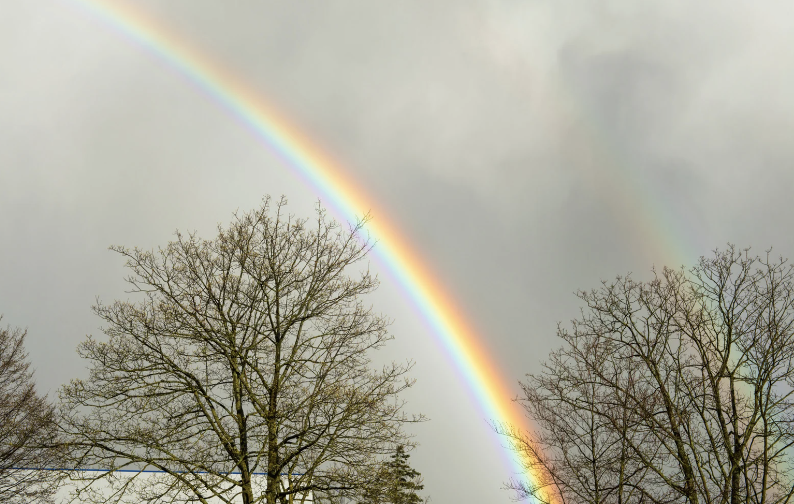 Manners on a Rainy Day-4