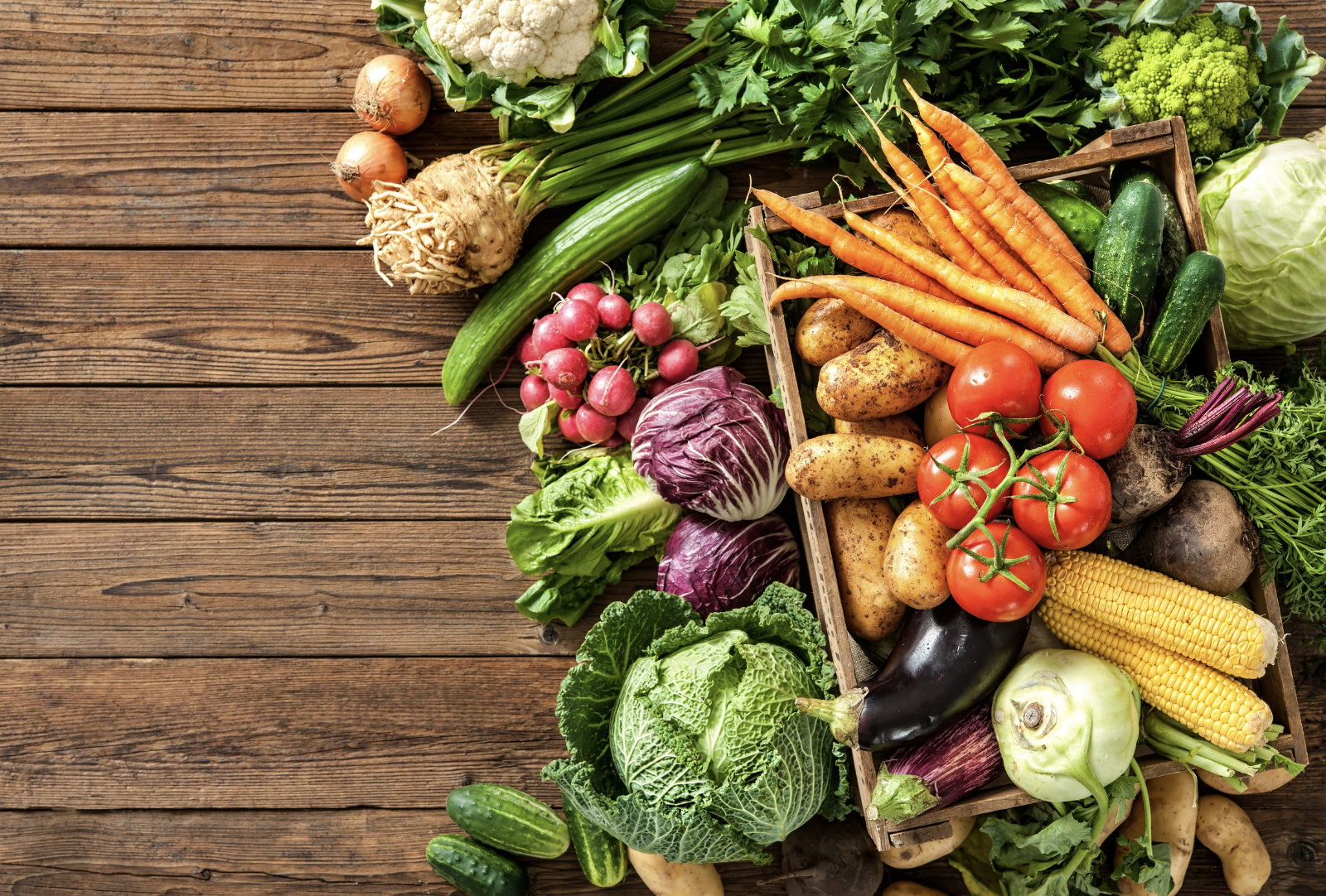 Real Voices of Rural Employment-2