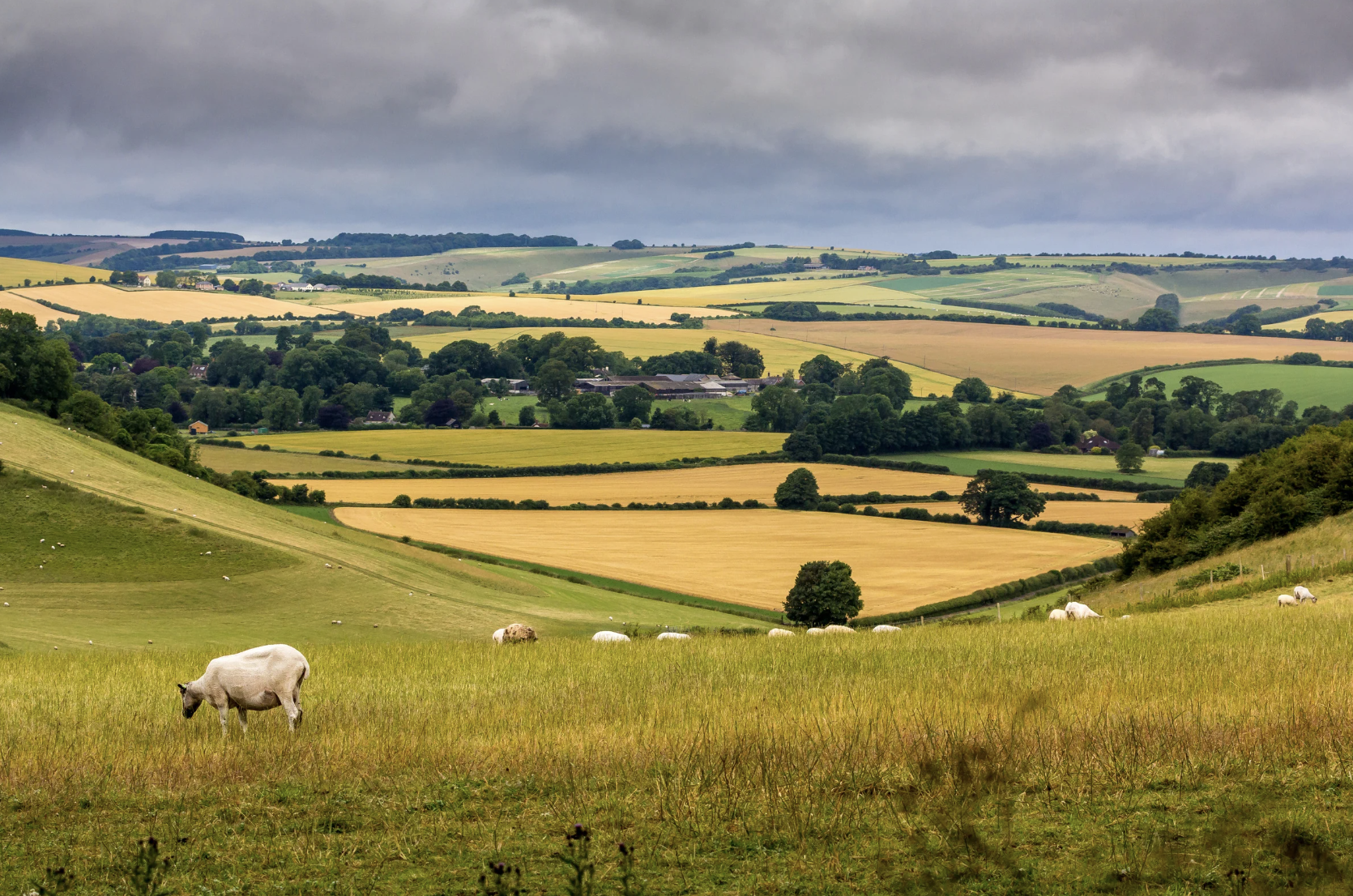  Real Voices of Rural Employment1. 